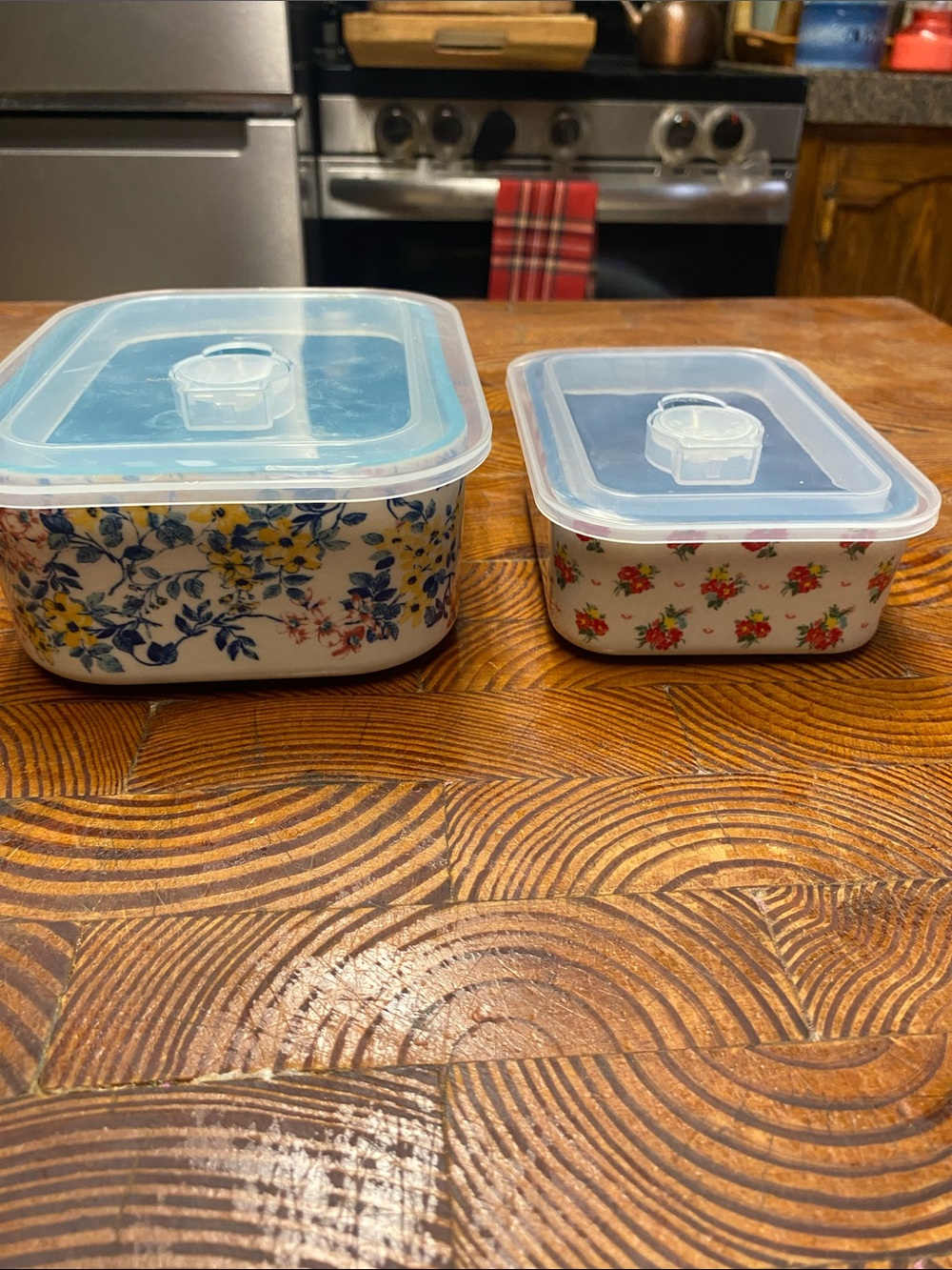 Pioneer Woman Set of 2 Ceramic Food Storage Containers with Lids -